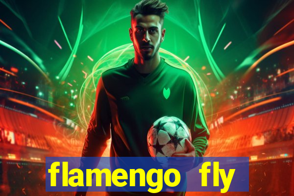 flamengo fly emirates ultimas noticias